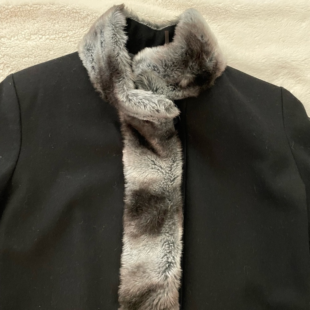 Amazing Coat - image 4